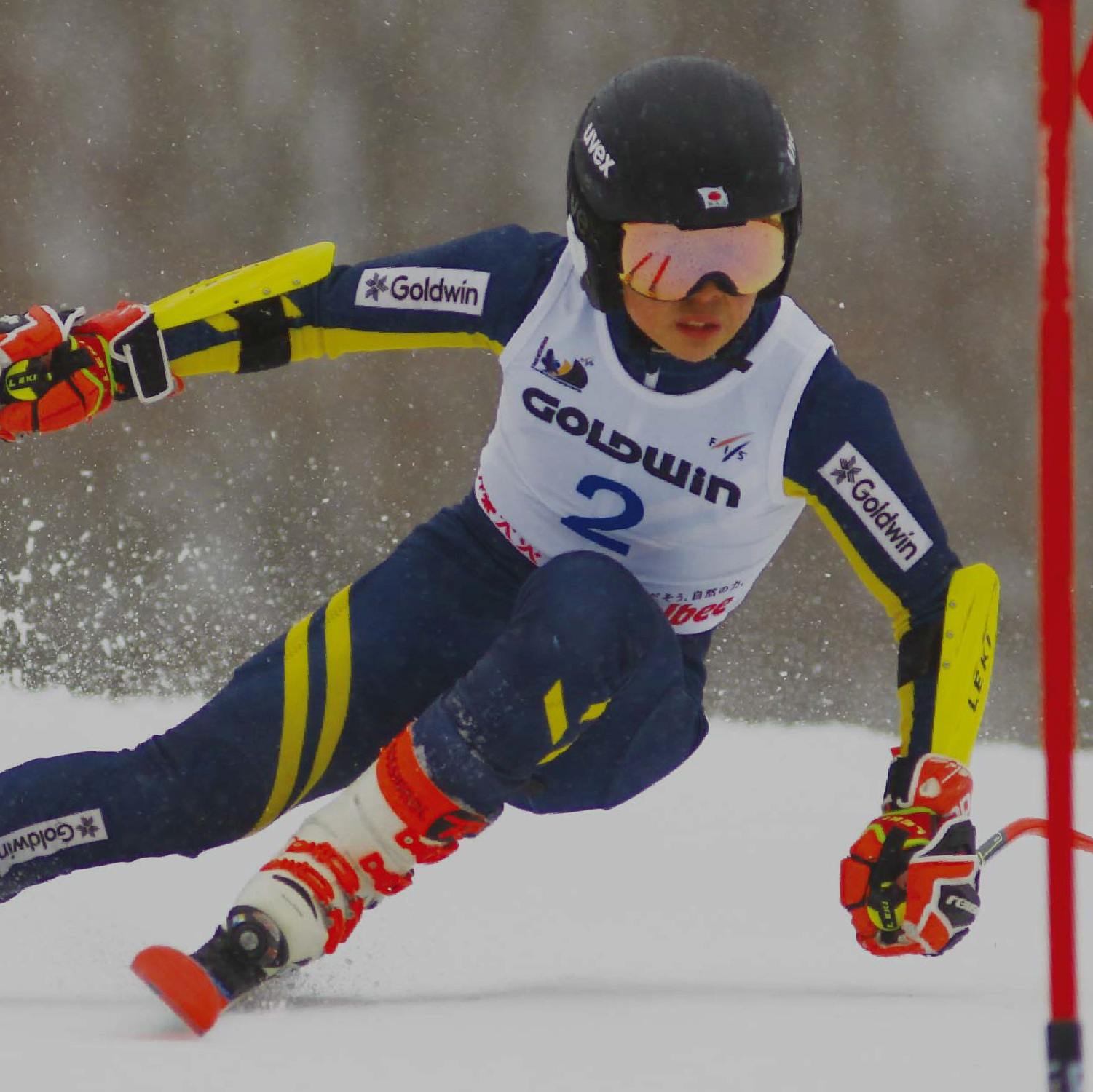 FIS YOUTH JAPAN CUP